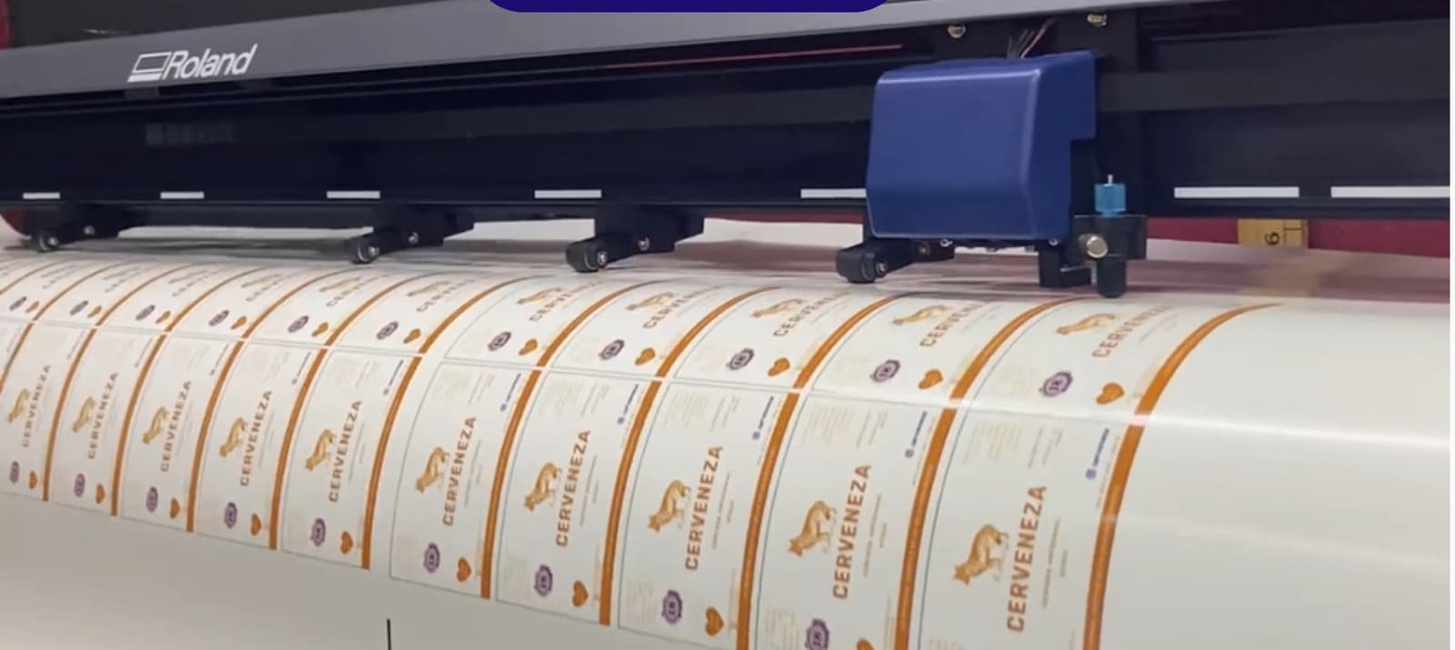 Plotter de corte de la planta recortando a registro etiquetas de vinil impresas